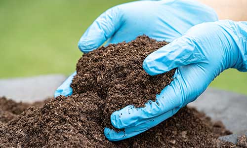 Soil Contaminated with Lead